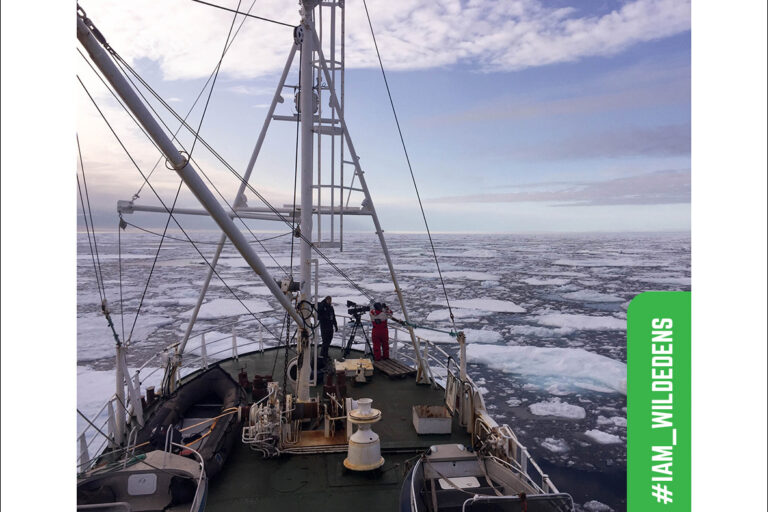 The crew searches for polar bears amongst the ice floes in the Arctic Ocean.